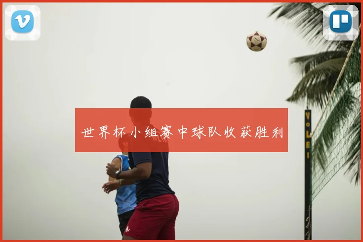 世界杯小组赛中球队收获胜利