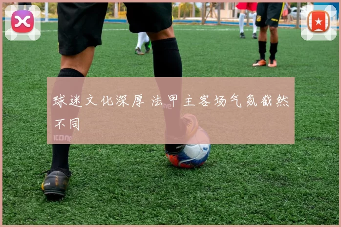 球迷文化深厚 法甲主客场气氛截然不同