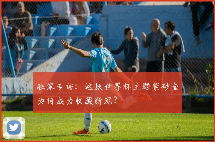 独家专访：这款世界杯主题紫砂壶为何成为收藏新宠？