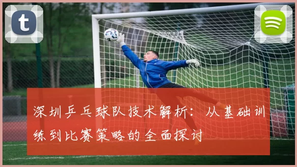 深圳乒乓球队技术解析：从基础训练到比赛策略的全面探讨