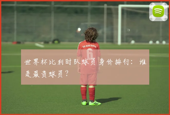 世界杯比利时队球员身价排行：谁是最贵球员？