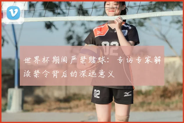 世界杯期间严禁赌球：专访专家解读禁令背后的深远意义