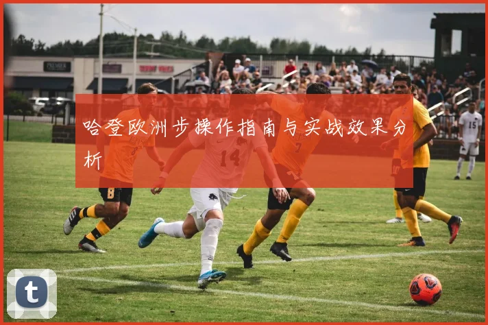 哈登欧洲步操作指南与实战效果分析