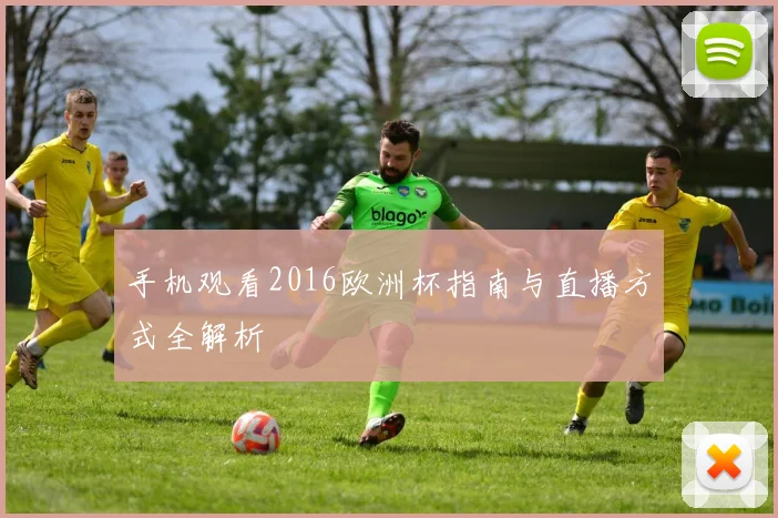 手机观看2016欧洲杯指南与直播方式全解析
