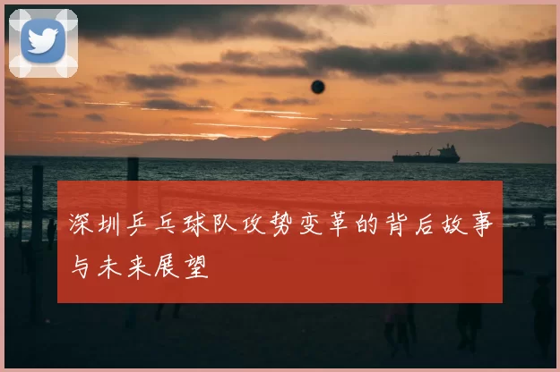 深圳乒乓球队攻势变革的背后故事与未来展望