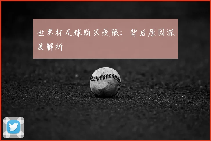世界杯足球购买受限：背后原因深度解析